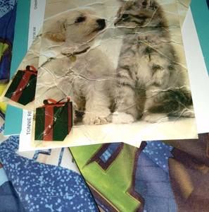 Meet your Posher, Jackson